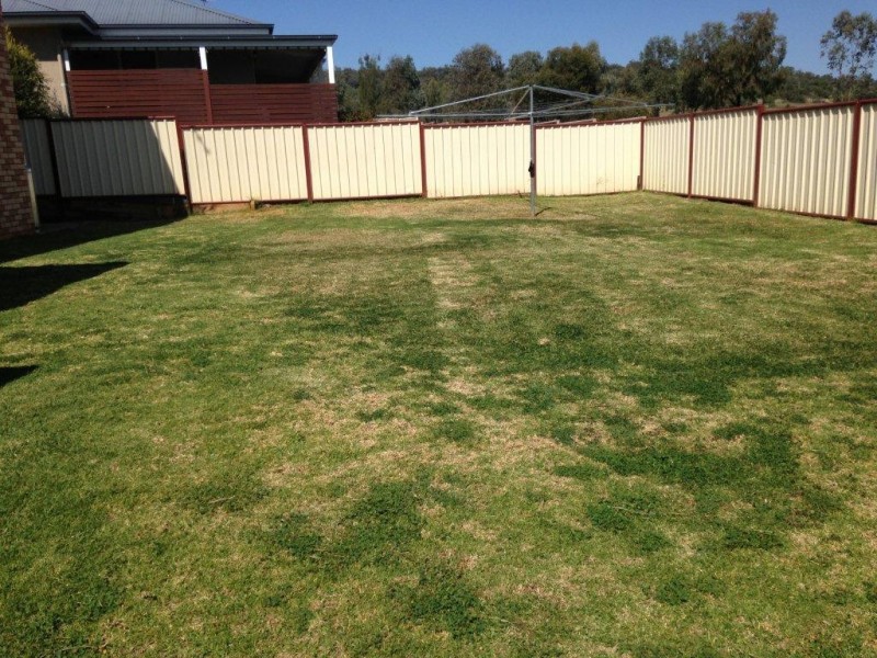 21 Hinton Drive, Gunnedah NSW 2380