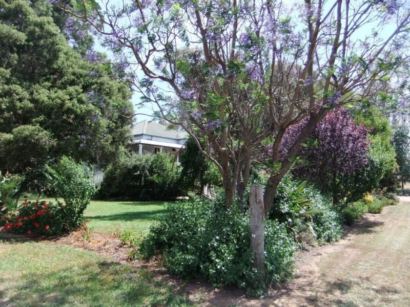 56 Shanley Lane, Tamworth NSW 2340