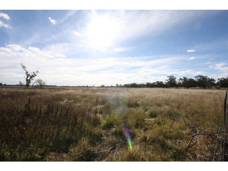 300 Kaputar Road, Narrabri NSW 2390