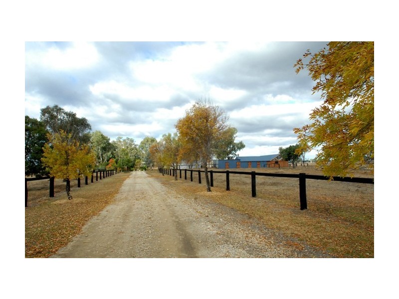 56 Shanley Lane, Gunnedah NSW 2380