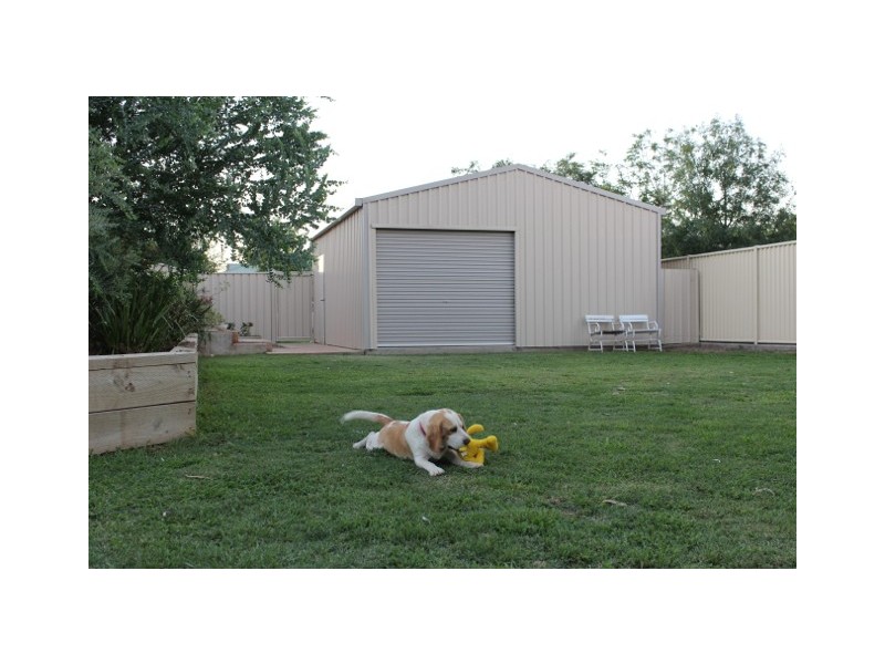 16 Millicent Drive, Narrabri NSW 2390