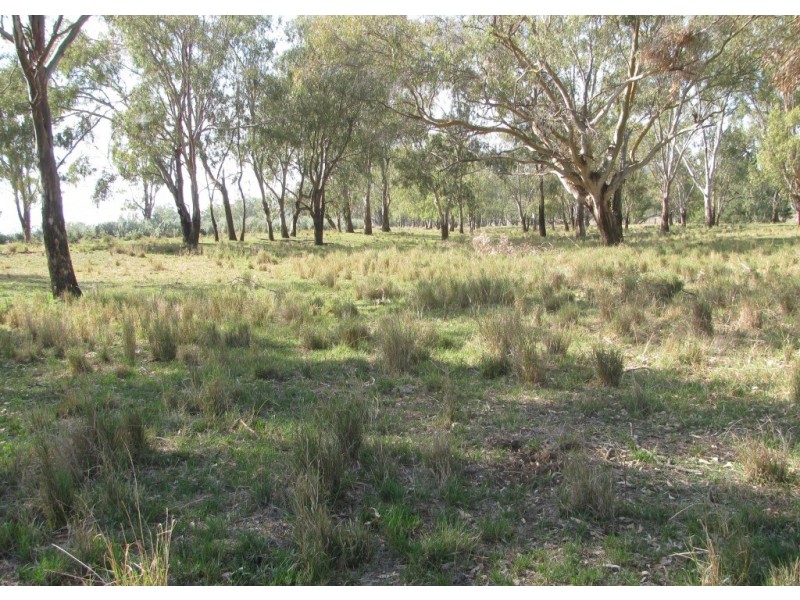 177 Therribri Road, Boggabri NSW 2382