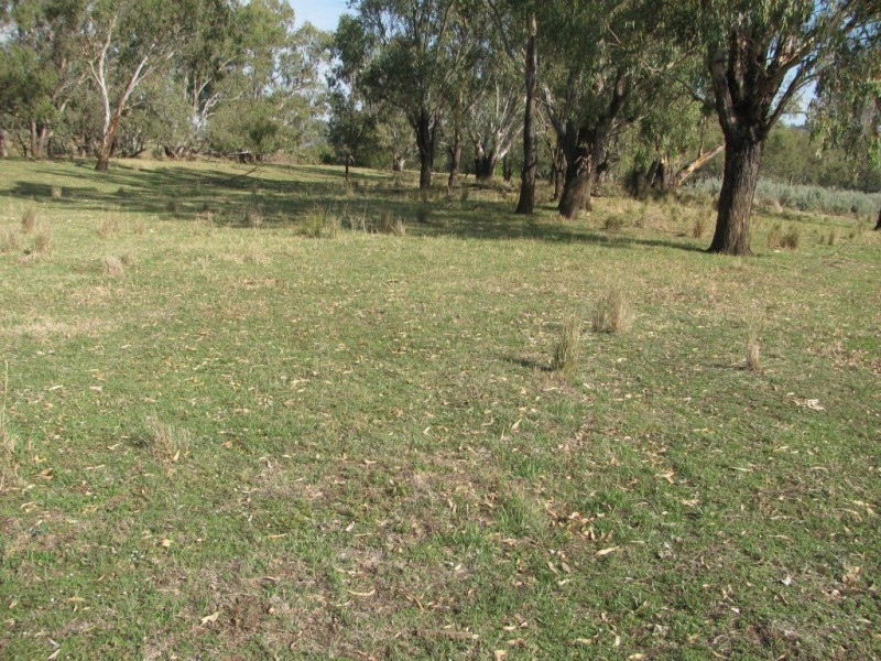 177 Therribri Road, Boggabri NSW 2382