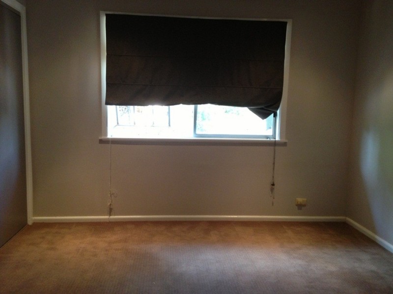 19 Thomson Place, Gunnedah NSW 2380