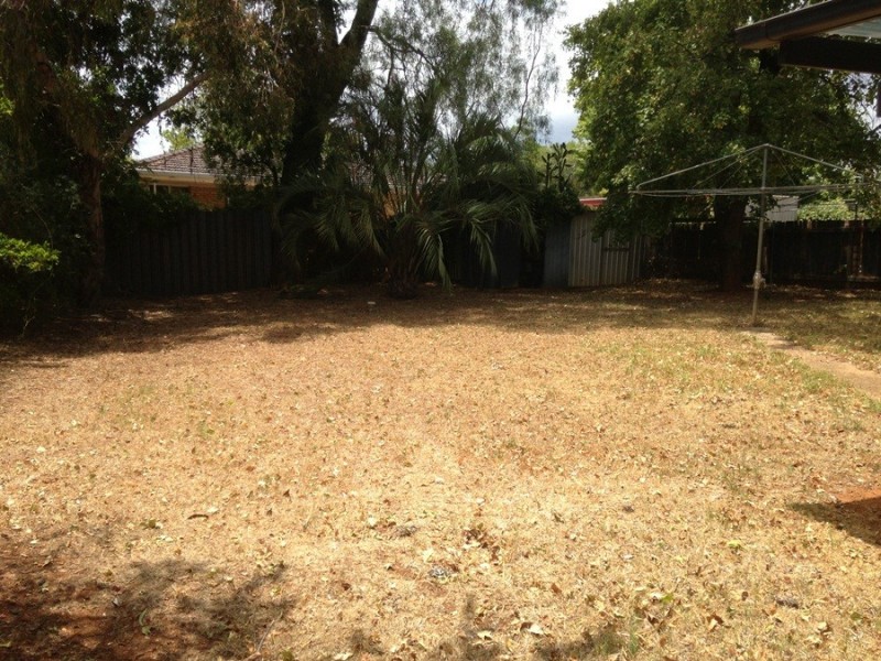 19 Thomson Place, Gunnedah NSW 2380