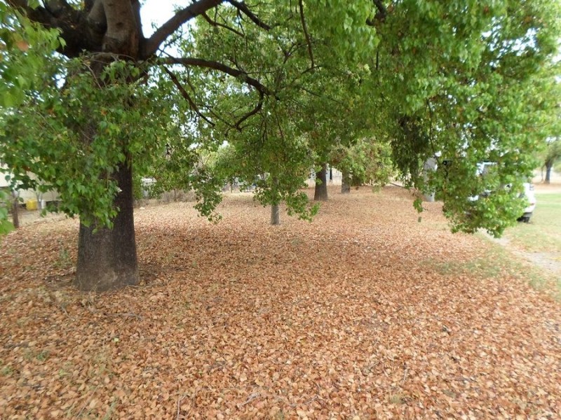 33-35 Breeza, Carroll NSW 2340