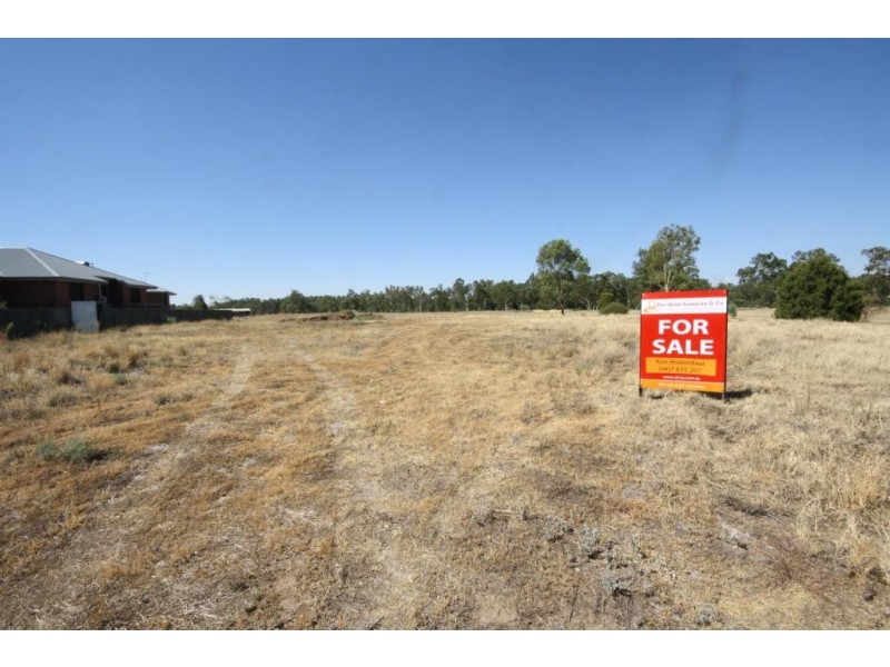 45 Riverside Drive, Narrabri NSW 2390