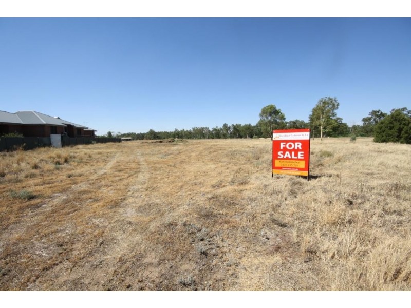 45 Riverside Drive, Narrabri NSW 2390