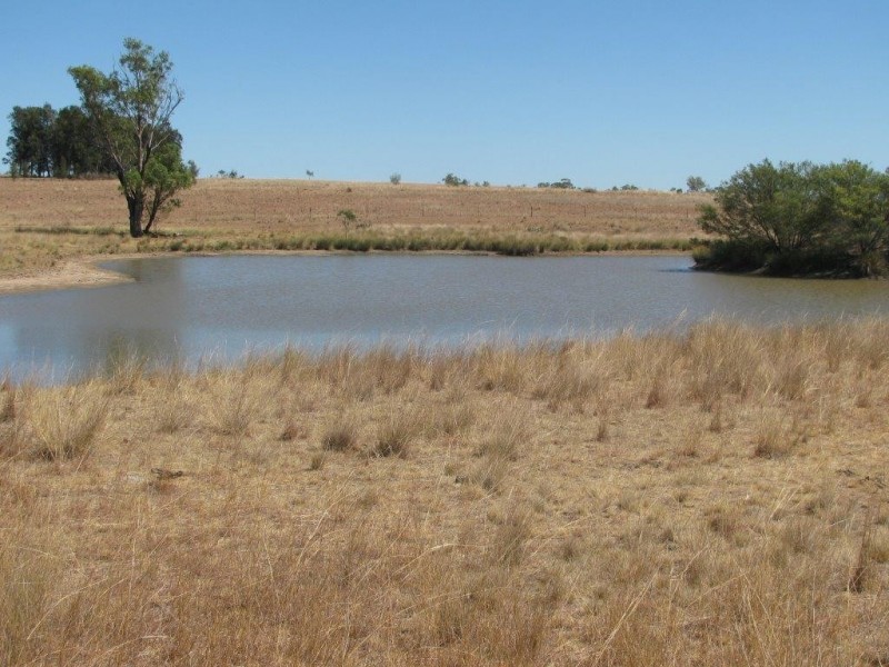 18 Greylands road, Narrabri NSW 2390