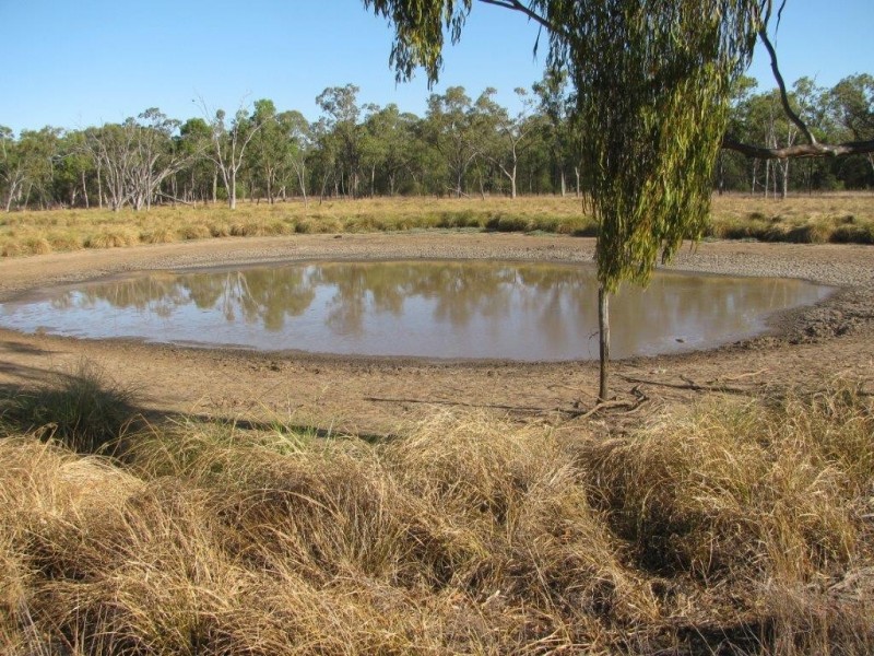 Baan Baa NSW 2390