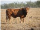 12192 Kamilaroi Highway, Boggabri NSW 2382