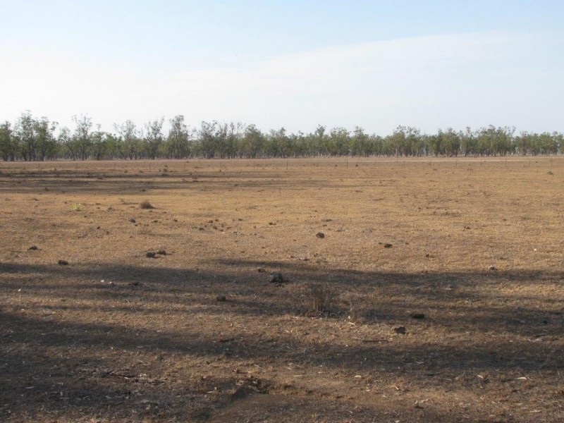12192 Kamilaroi Highway, Boggabri NSW 2382
