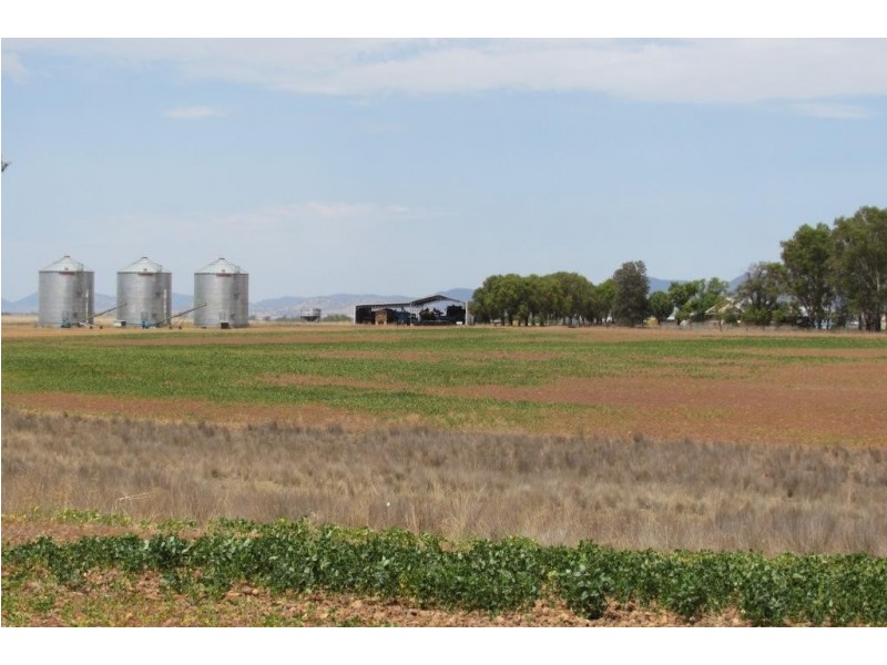 Allawah 3149 Oxley Highway, Bective NSW 2340