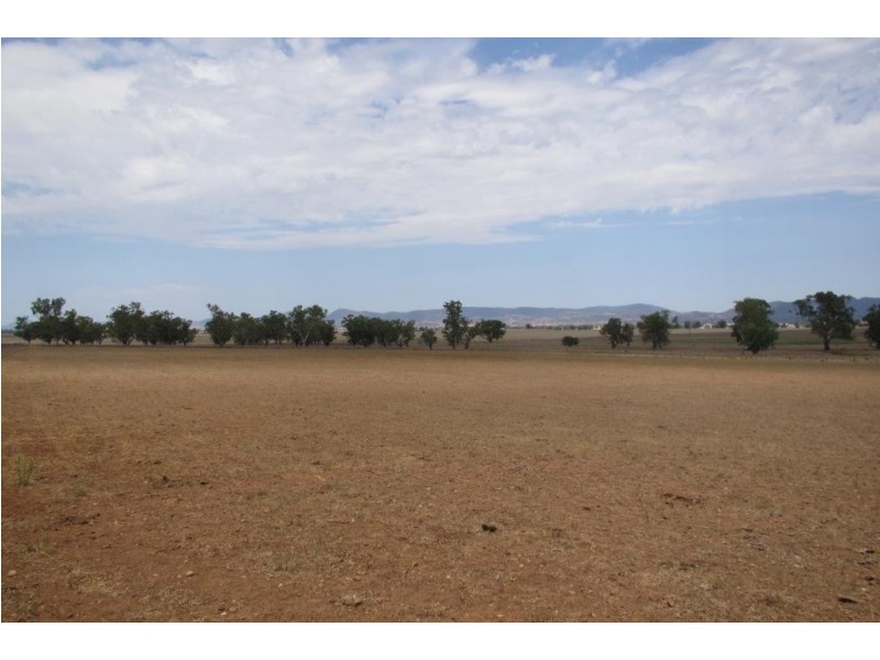 Allawah 3149 Oxley Highway, Bective NSW 2340