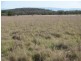 341 Curracabah Road, Baan Baa NSW 2390