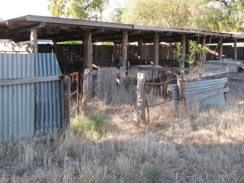 106 Bloomfield Street, Gunnedah NSW 2380