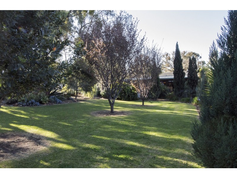 Lot 132 Wentworth Avenue, Coolah NSW 2843