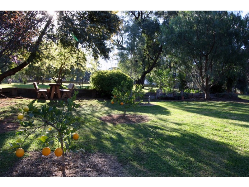 Lot 132 Wentworth Avenue, Coolah NSW 2843