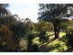 Lot 132 Wentworth Avenue, Coolah NSW 2843