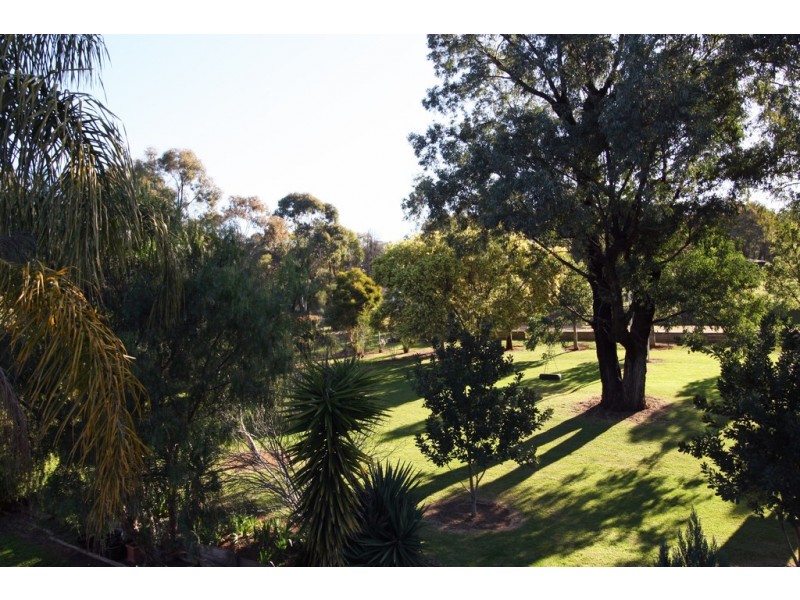Lot 132 Wentworth Avenue, Coolah NSW 2843
