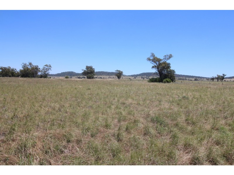 59 Hill Street, Boggabri NSW 2382