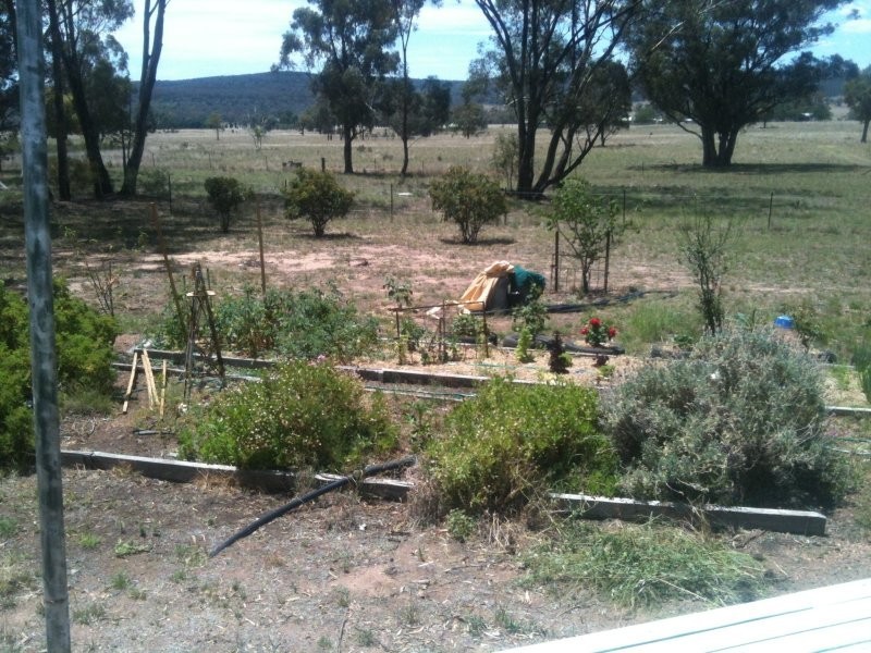 1712 Gamble Creek Road, Binnaway NSW 2395