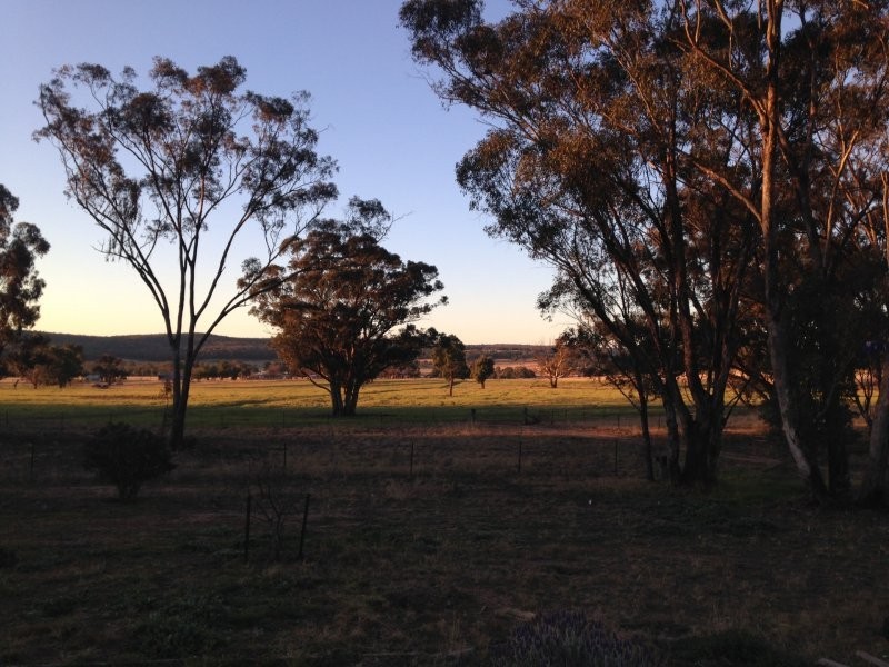 1712 Gamble Creek Road, Binnaway NSW 2395