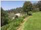 “Nullawa” Black Stump Way, Tambar Springs NSW 2381