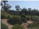 “Nullawa” Black Stump Way, Tambar Springs NSW 2381