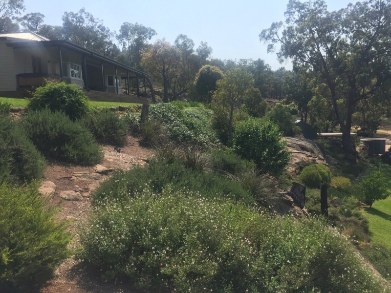 “Nullawa” Black Stump Way, Tambar Springs NSW 2381