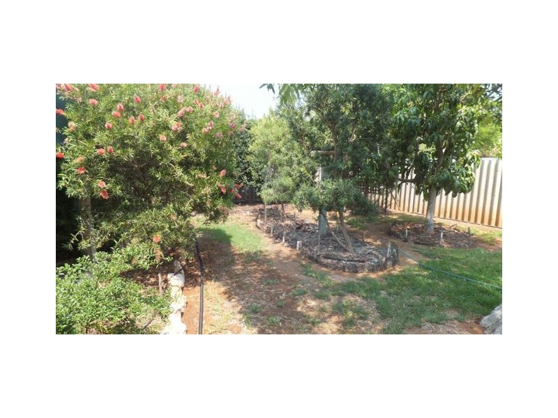 3 RIDLEY PLACE, Carnarvon WA 6701