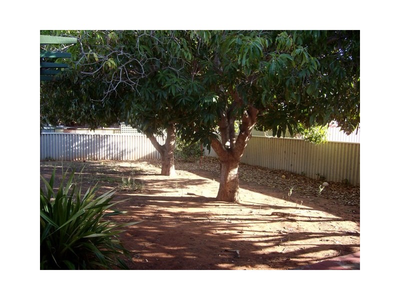 3 TUCKEY COURT, Carnarvon WA 6701