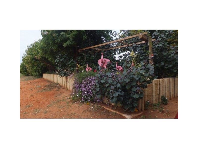 270 MARGARET ROW, Carnarvon WA 6701