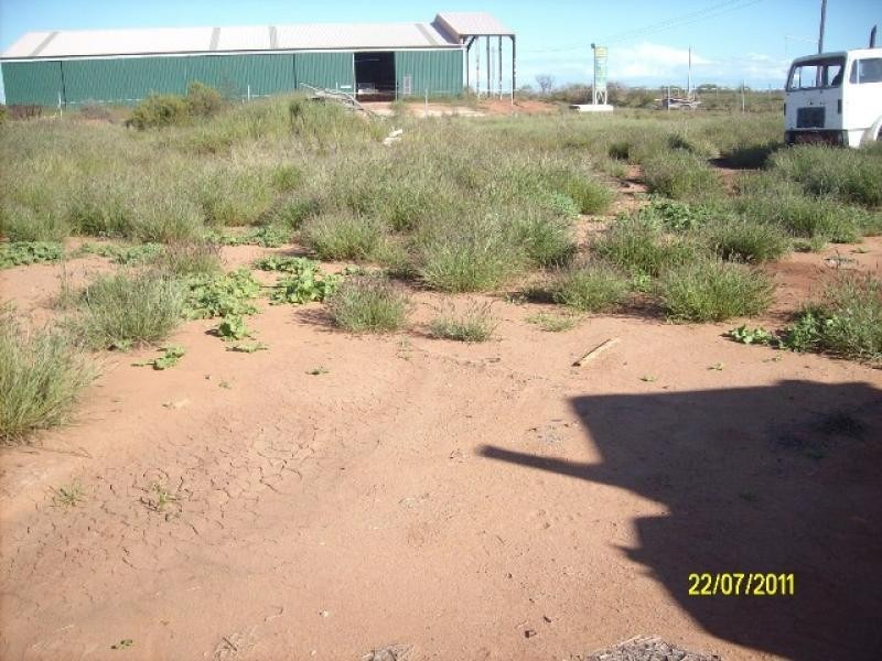 143 BOUNDARY ROAD, Carnarvon WA 6701