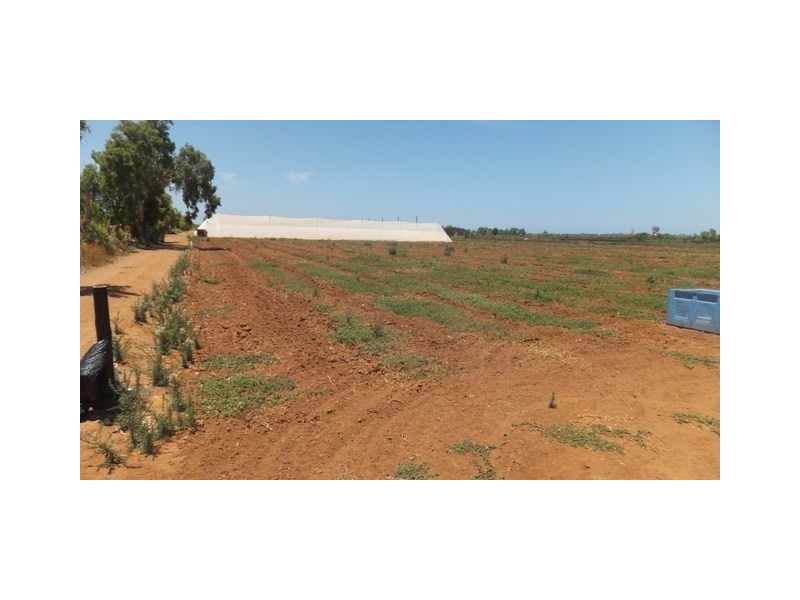 176 South River Road, South Plantations WA 6701