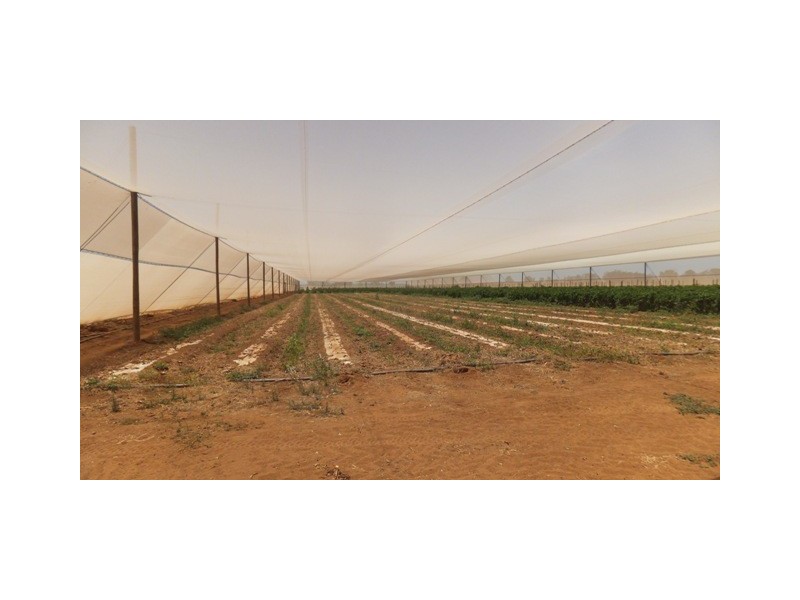 176 South River Road, South Plantations WA 6701