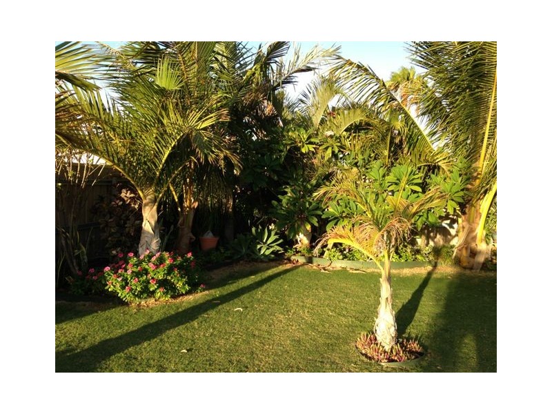 6B PRATT COURT, Carnarvon WA 6701