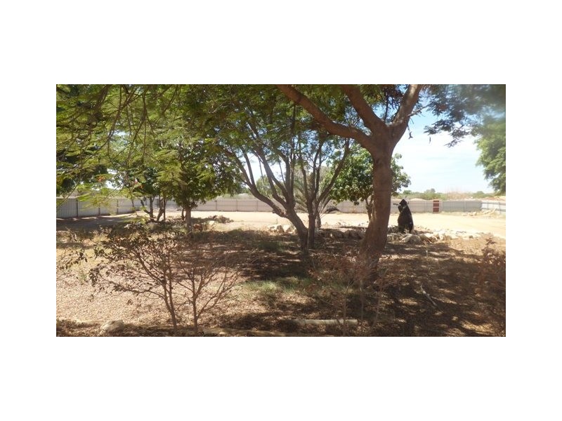 113 BOUNDARY ROAD, Carnarvon WA 6701