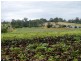 Greendale NSW 2745