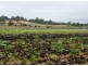 Greendale NSW 2745