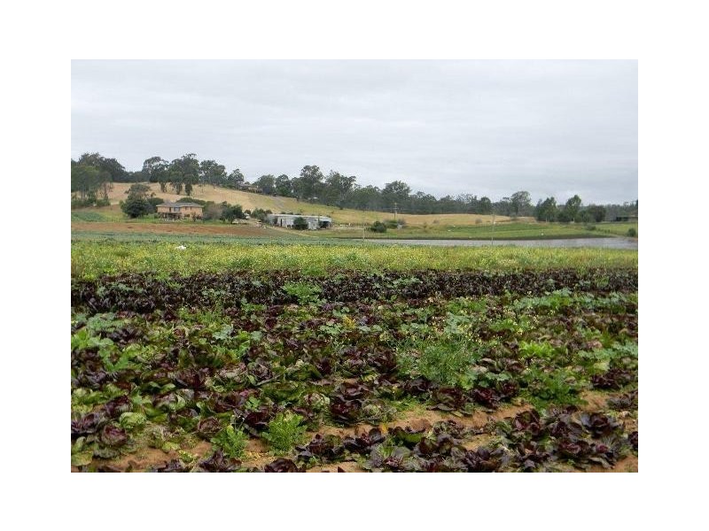Greendale NSW 2745