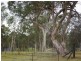 Wilberforce NSW 2756