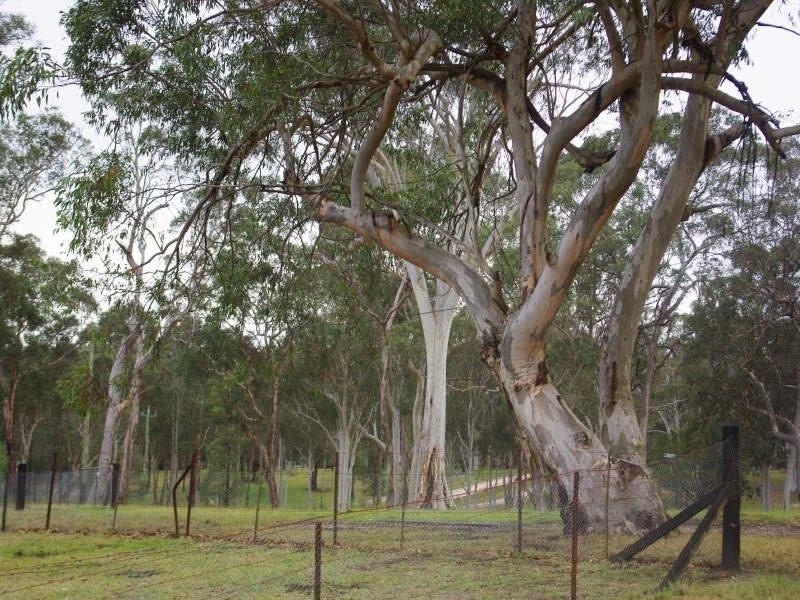Wilberforce NSW 2756