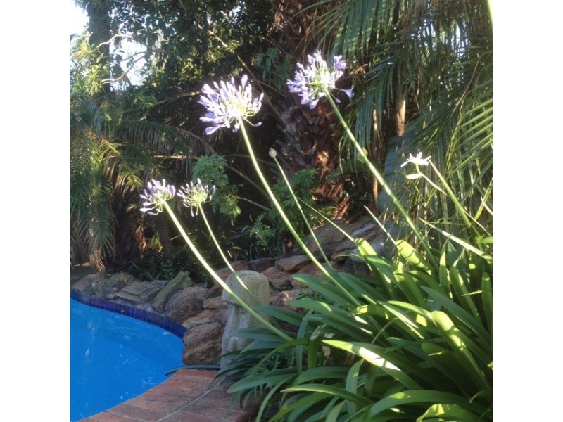 13 Rich Close, Bligh Park NSW 2756