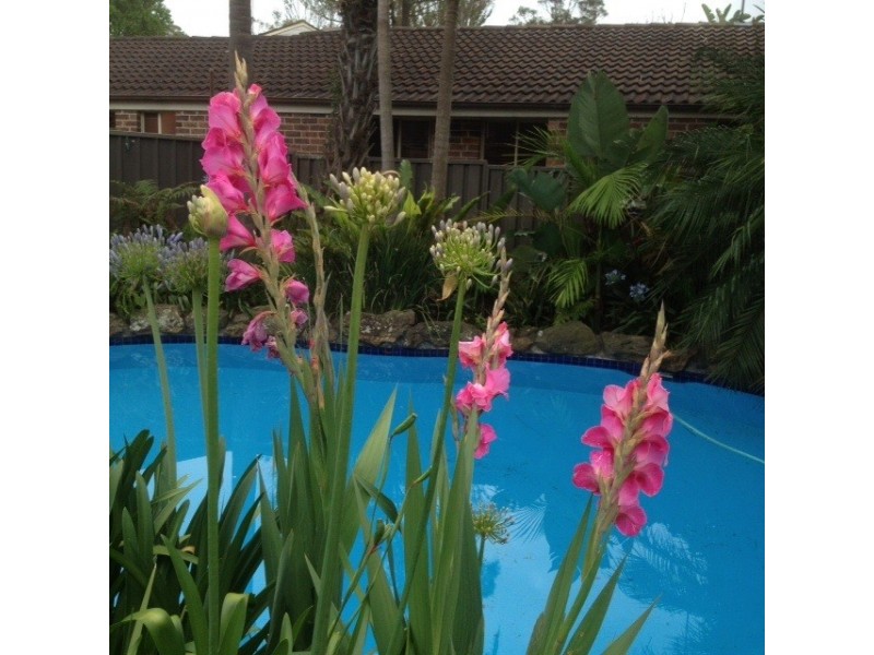 13 Rich Close, Bligh Park NSW 2756