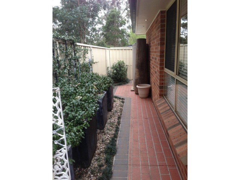 Bligh Park NSW 2756
