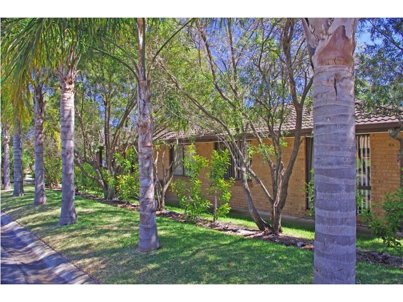 7 Studdy Close, Bligh Park NSW 2756