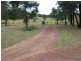Putty NSW 2330