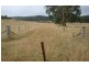 Putty NSW 2330