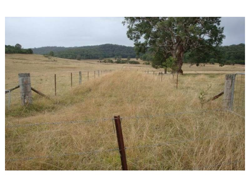 Putty NSW 2330